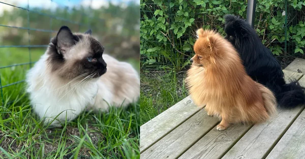 Välkommen hem till oss på Anderwels